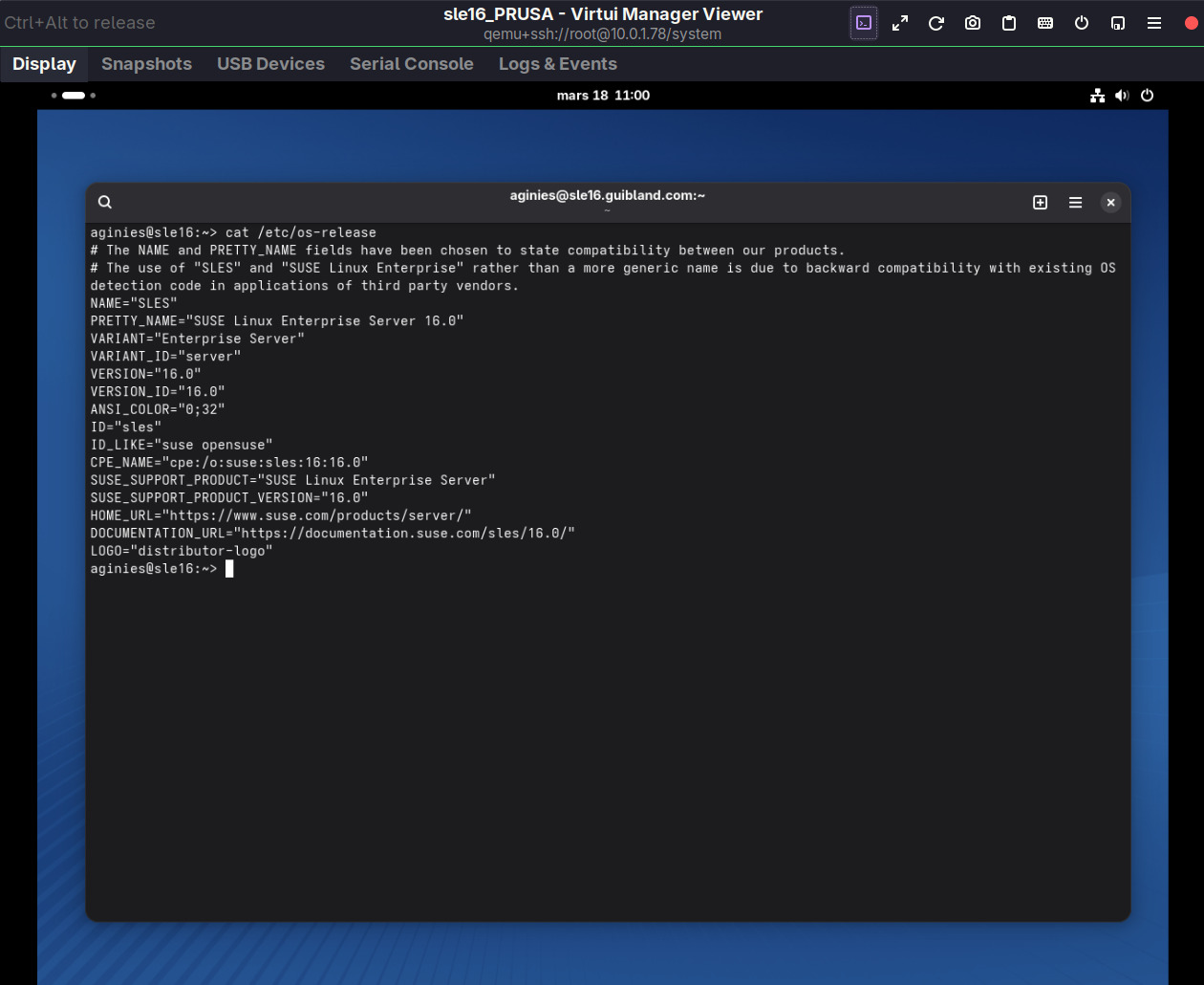 VirtUI Remote Viewer Interface